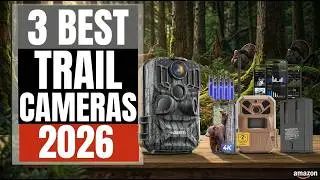 👉 Best Trail Cameras 2026 📸 🦌 | Motion-Activated Wildlife & Security Picks
