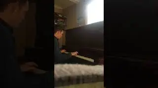 Dorian - Agnes Obel (Piano Cover)