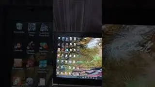 pedal ammoon pockloop issue  fix problem Update Firmware
