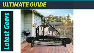 Moysoon Dog Treadmill: The Ultimate Indoor Exercise Machine?