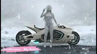 Gentleman - My Rules (Original Mix)