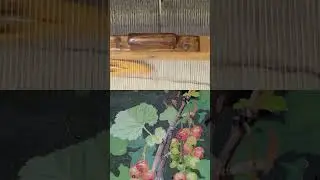 weaving art in high speed/Webkunst in Hochgeschwindigkeit #Weben#Textilkunst#Kunst#shorts
