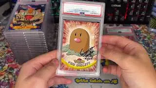 37 Autograph PSA Submission Grade Reveals!