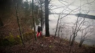 NC Wildlife: Cutting Shoreline Trees at Harris Lake for Fish Habitat
