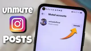 How to Unmute Posts on Instagram 2023
