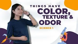 SCIENCE 1: Things Have Color, Texture and Odor