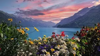 Indie Pop Folk 2023 | Indie Folk Compilation October 2023 | Laid back, Romantic Indie Music
