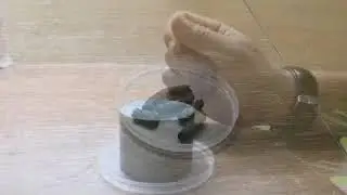 BIO BRIQUETTES