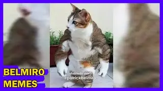Belmiro Memes: Melhores dublagens engraçadas da semana 20