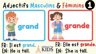 part 1:Master Masculine Feminine French Adjectives Fast Essential Beginner French Lesson