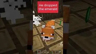 WHICH ANIMALS ARE ATTACKED BY FOXES IN MINECRAFT #minecraft #fox #chicken #rabbit #animals #attacked