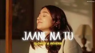 JAANE NA TU 🖇️❤️ (Slowed-music)