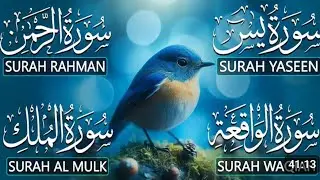 Soft & Heart-Touching Quran Recitation | Surah Yaseen • Surah Rahman • Surah Waqiah • Surah Mulk |