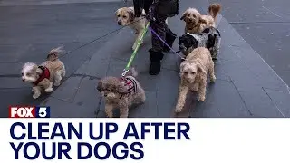 New push for people to clean up after their dogs