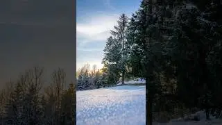 Ambient peaceful nature soundscape #wintershorts #calmvibes