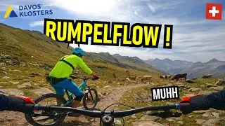 DAVOS KLOSTERS Jakobshorn: Alps Epic Trail 🔴 bis Sertig / Full / Mountainbike MTB Enduro Schweiz