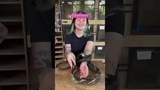 A mulher pegando bichos