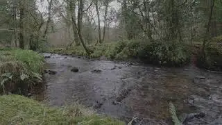 DURMA EM 5 MINUTOS COM ESSA M&Uacute;SICA RELAXANTE/TENHA UM  SONO PROFUNDO / ONDAS DELTAS/TELA ESCURECENDO