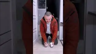 КОТЯТА ЛЮБЯТ СНЕГ #cat
