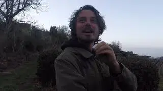 Vineyard Walk with Daniele at Ribela