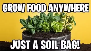 Grow Food in a Soil Bag! The Simple Gardening Trick Anyone Can Do (No Garden Needed)
