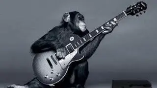 Naked Apes Live! @ Boatyard 401 1/23/26