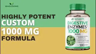 Wholesome Wellness Digestive Enzymes 1000MG Plus Prebiotics & Probiotics Supplement