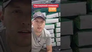 🌻 Насіння ультрараннього соняшника СУР📲 Замовляй на AGRO SEEDS : +38 (098) 051-21-51