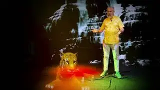 Virtual Event with CNY Lion Dance 2022