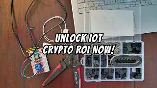 IOTA Expert Reveals Top IoT Crypto for MAXIMUM ROI in 2024!
