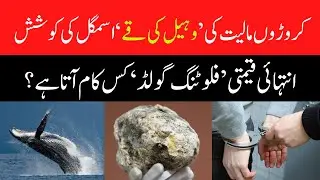 Lucknow Police failed an attempt to smuggle ambergris - Floating Gold - Whale Fish Vomit