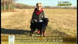 Videoadozioni  Canile Chieri (4)-VIDEO- LASTAMPA.it.mp4