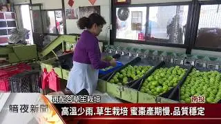 秋冬氣溫偏高 國姓蜜棗.草莓產期慢【20181228客家新聞】
