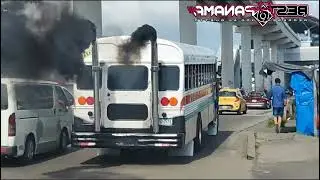 Buses de Panam&aacute;.  Coqueto - Kevin Alexander (Cometa) - Anyeli Rachell - Ricardo Antonio - Desakatao