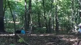 Stealth forest this weekend 9-26-14 full movie hit that subscribe