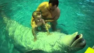 MOV00668