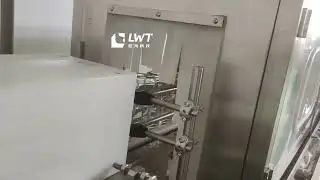 Lychee canned production line
