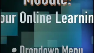 Dropdown Menu