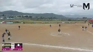 Liga de softbol de la cuarta region Chile