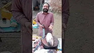 The Biggest Black Rohu Fish Cutting Skills and Techniques By Professional Fish Cutter in  the Market