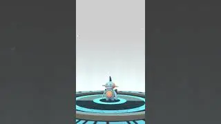 Mudkip Evolution Pokemon Go