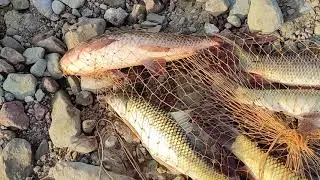 Best Fishing at Chahan Dam | Big Rahu Fish & Multiple Catches | Chahan Dam Fishing 2026