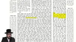 עמוד יומי מסכת שבת דף סד עמוד א באידיש