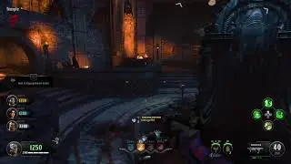 Dag zombie tiger scared me lol blackops 4 GG
