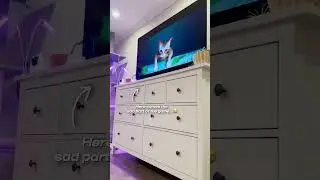 Ex stray cat reviews &ldquo;Stray&rdquo;, the video game 🐈 #shorts #calico