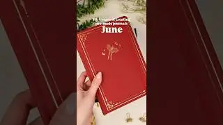 Evolution of my premade journals 🥹✨ #premade #bulletjournal #june #inspiration #art #journal #bujo