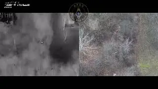 AFRS.US - Quick lost dog search