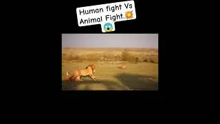 Human fight Vs Animal fight.💥😱.#sigma #trending #fight #animals #animalkingdom #memes #edit