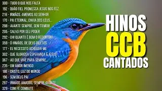 🎶 Hinos CCB que acalmam a alma 🌙 Louvores de fé que sustentam o coração nos dias de maior angústia 🙏