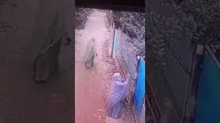 البسالة فيما يرضى الله 😁😁❤️
